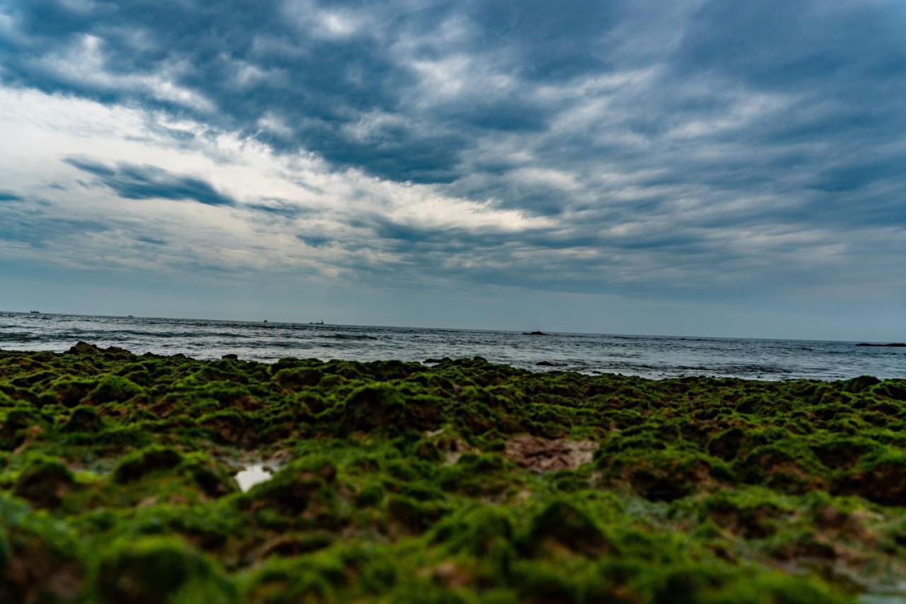 Vista Praia Beach Resort Anjuna Dış mekan fotoğraf